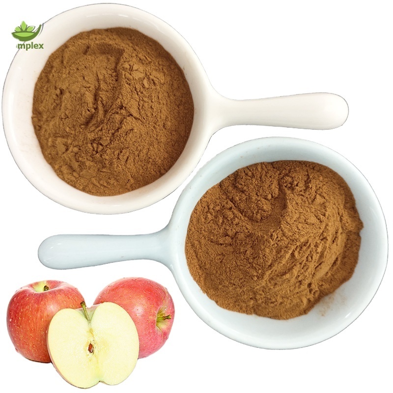 Factory supply best quality apple extract organic apple peel extract