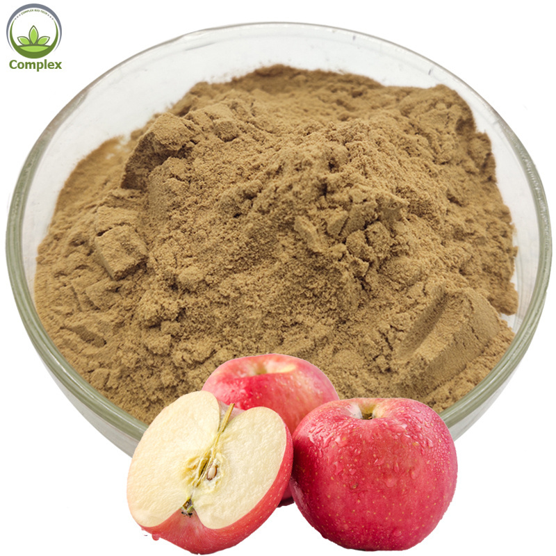 Factory supply best quality apple extract organic apple peel extract