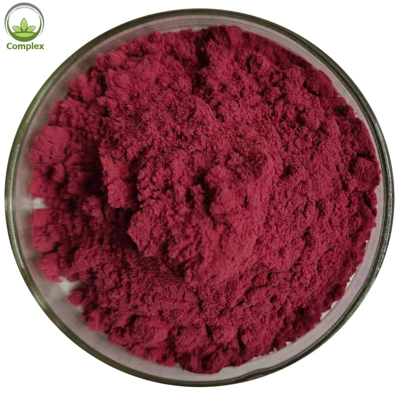 Factory supply best quality aronia berry extract powder pure aronia chokeberry powder aronia berry powder