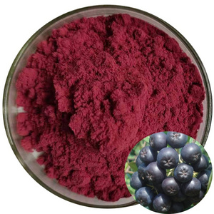 Factory supply best quality aronia berry extract powder pure aronia chokeberry powder aronia berry powder