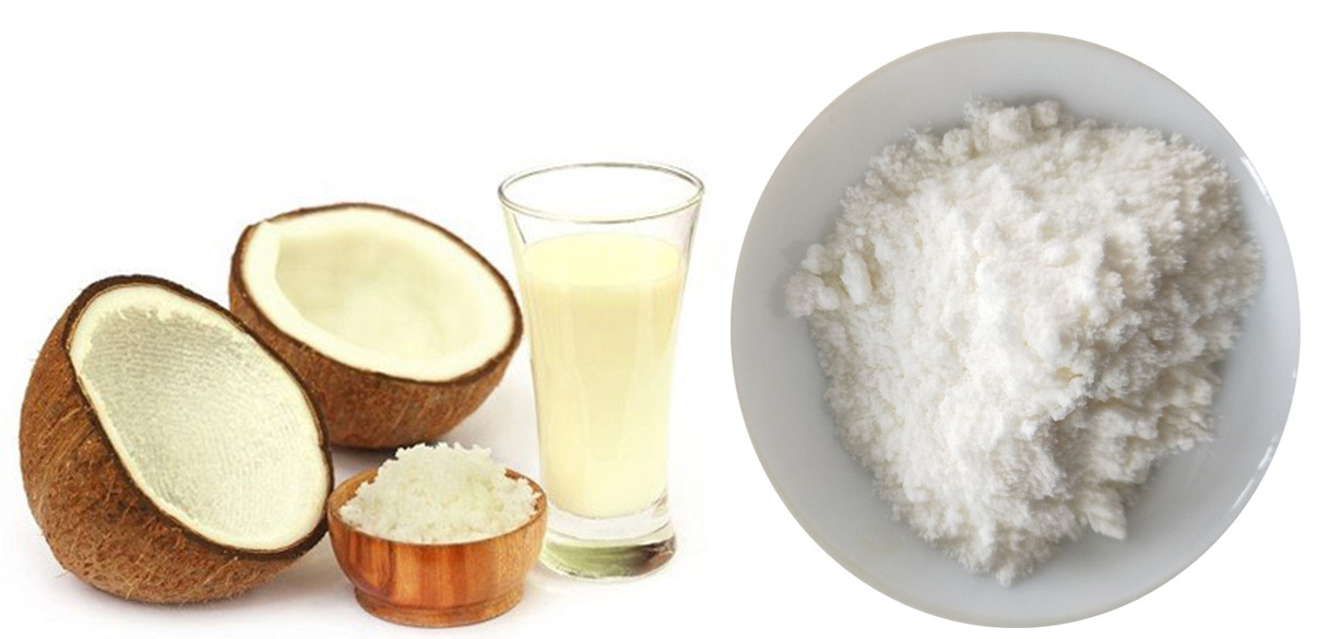 Natural organic pure powder wholesale coconut milk powder