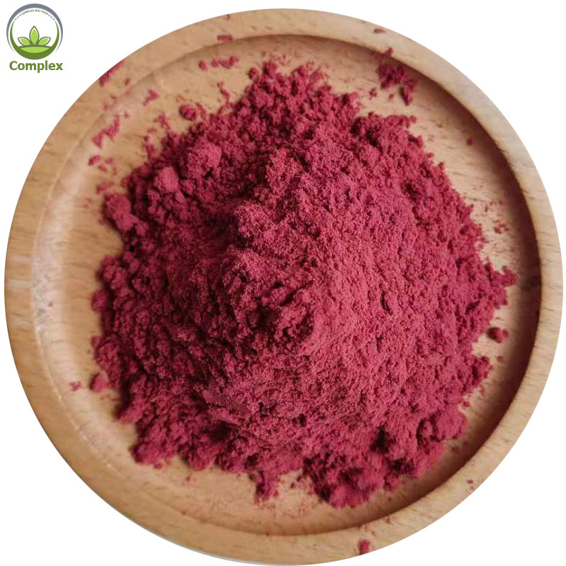 Factory supply best quality aronia berry extract powder pure aronia chokeberry powder aronia berry powder