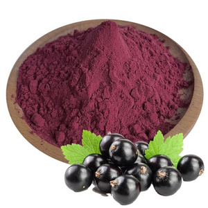 Best Selling Products Black Currant Fruit Flavor Juice Concentrate Powder