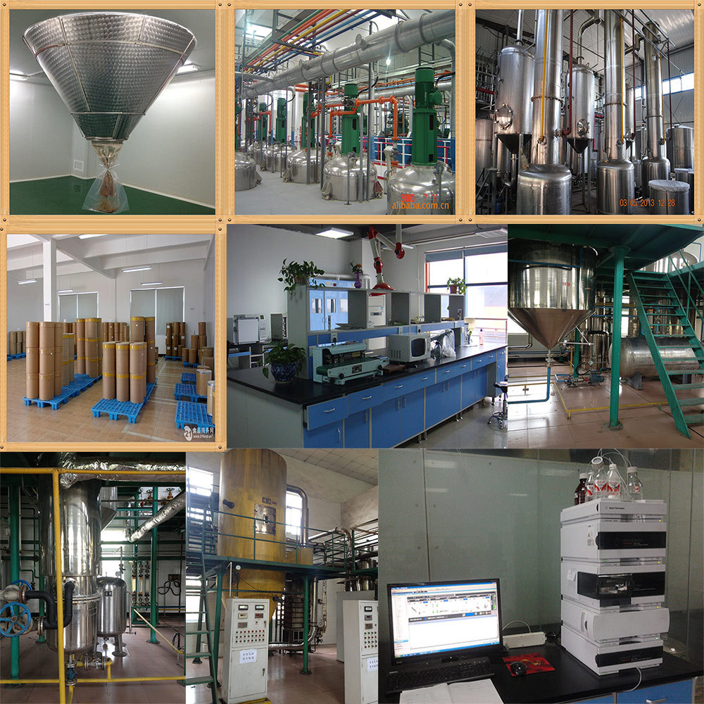 Certificated manufacturer supply green apple fruit powder apple juice concentrate powder