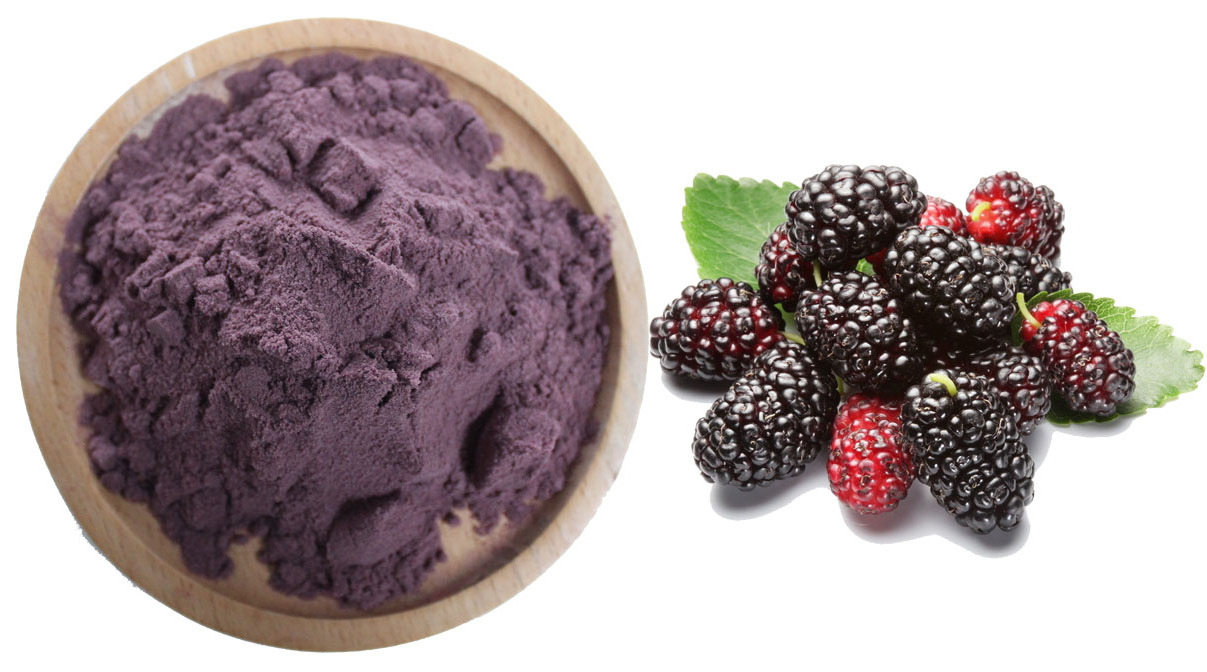 Factory supply best quality mulberry fruit juice powder