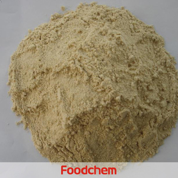 China Dried High Protein Concentrate Vital Wheat Gluten