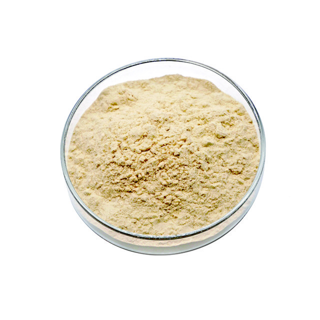 Manufacturer Supply 25KG/BAG Food Supplement Soy Protein Isolate Powder