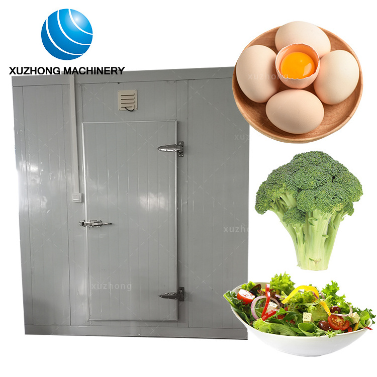 Customized Walk In Cold Storage Small Cold Room Cold Room Refrigerator Freezer Fish And Meat Industrial Cold Room