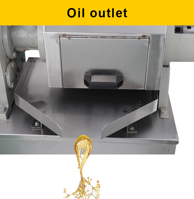 Commercial Peanut Oil Pressing Machine Peanut Oil Extraction Machine Expeller Production Line Peanut Oil Press Machine Pressers