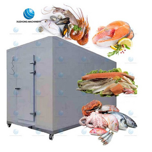 Customized Commercial Factory walk in freezer room walk in coolroom for sale cold room refrigerator freezer fish and meat