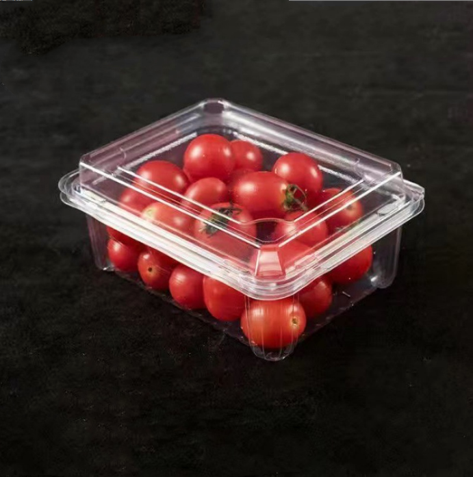 Wholesale disposable clear PET tamper evident deli container with hinged lid plastic fruit nut salad packaging box