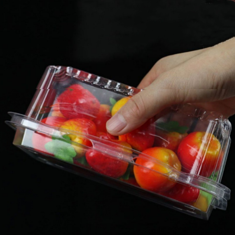 Wholesale disposable clear PET tamper evident deli container with hinged lid plastic fruit nut salad packaging box