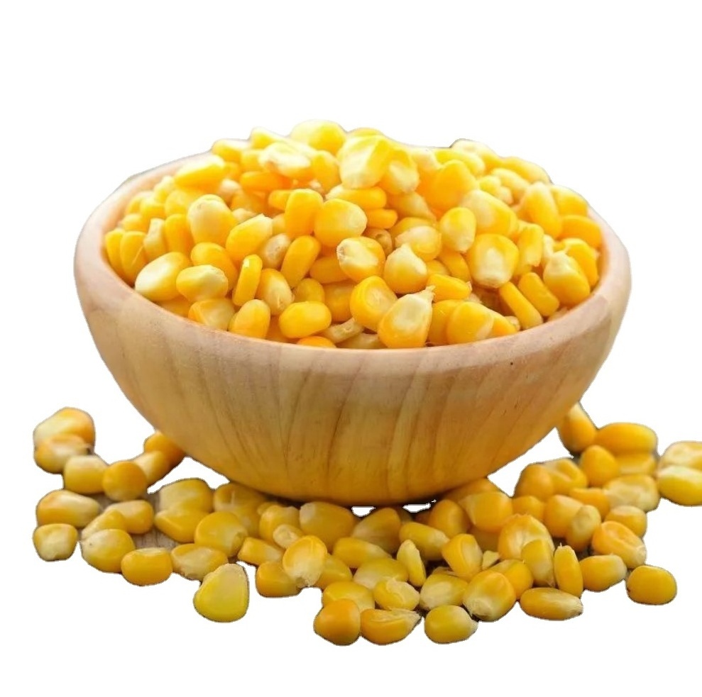 Bulk IQF Frozen Sweet Corn Yellow Corn Kernels import frozen sweet corn