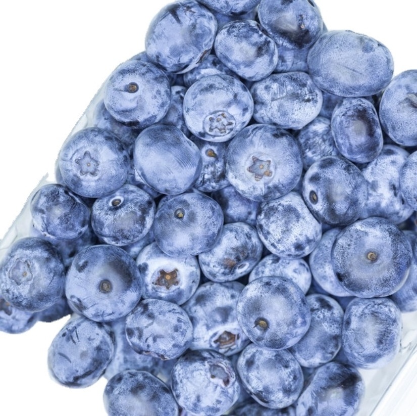 IQF Frozen Organic Blueberry Various Frozen Fruit