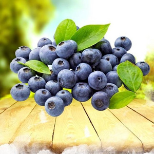 IQF Frozen Organic Blueberry Various Frozen Fruit