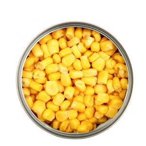 Bulk IQF Frozen Sweet Corn Yellow Corn Kernels import frozen sweet corn