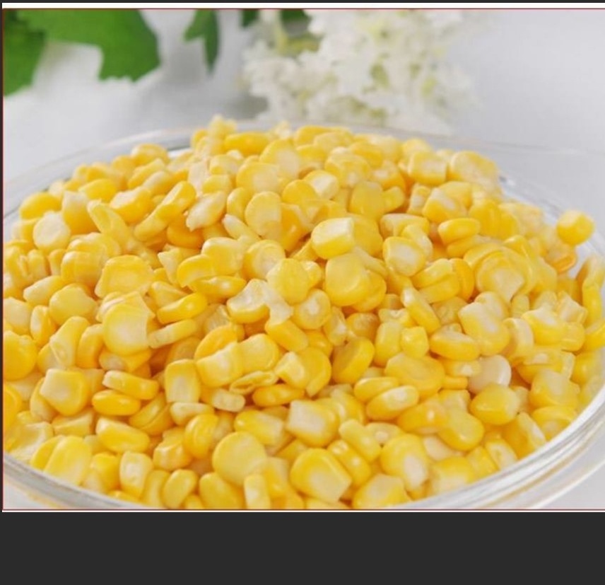 Bulk IQF Frozen Sweet Corn Yellow Corn Kernels import frozen sweet corn