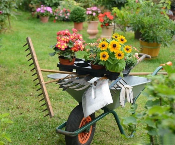 factory professional construction wheel barrow garden wheelbarrow