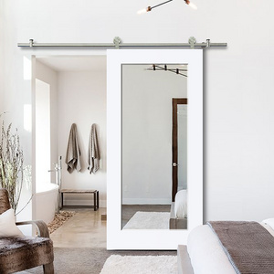 Modern Mirrored Barn Door for Bathroom, Closet