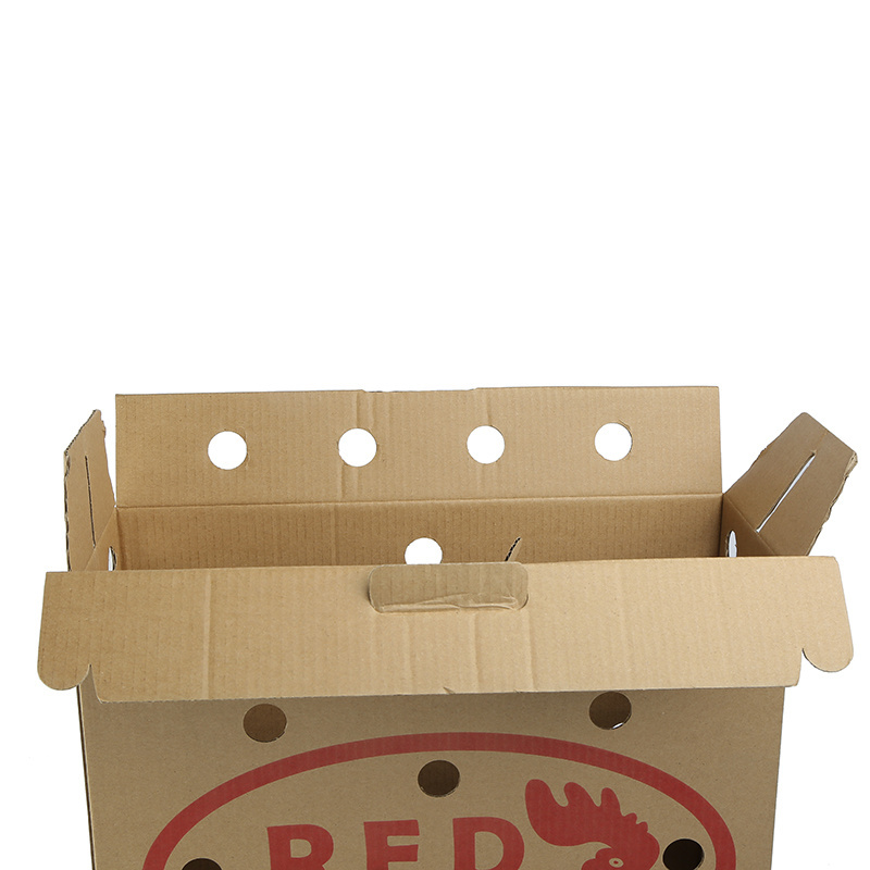 Custom Logo Wholesale Folding Brown Pet Carriers Cat Hole Cardboard Corrugated Paper Box With Handle