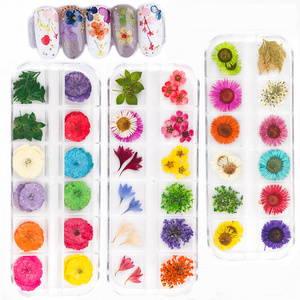 3D Nail Dried Flowers Art Sticker 12 Colors Dry Flowers Nail Art Decoration Supplies Mixed Accessories