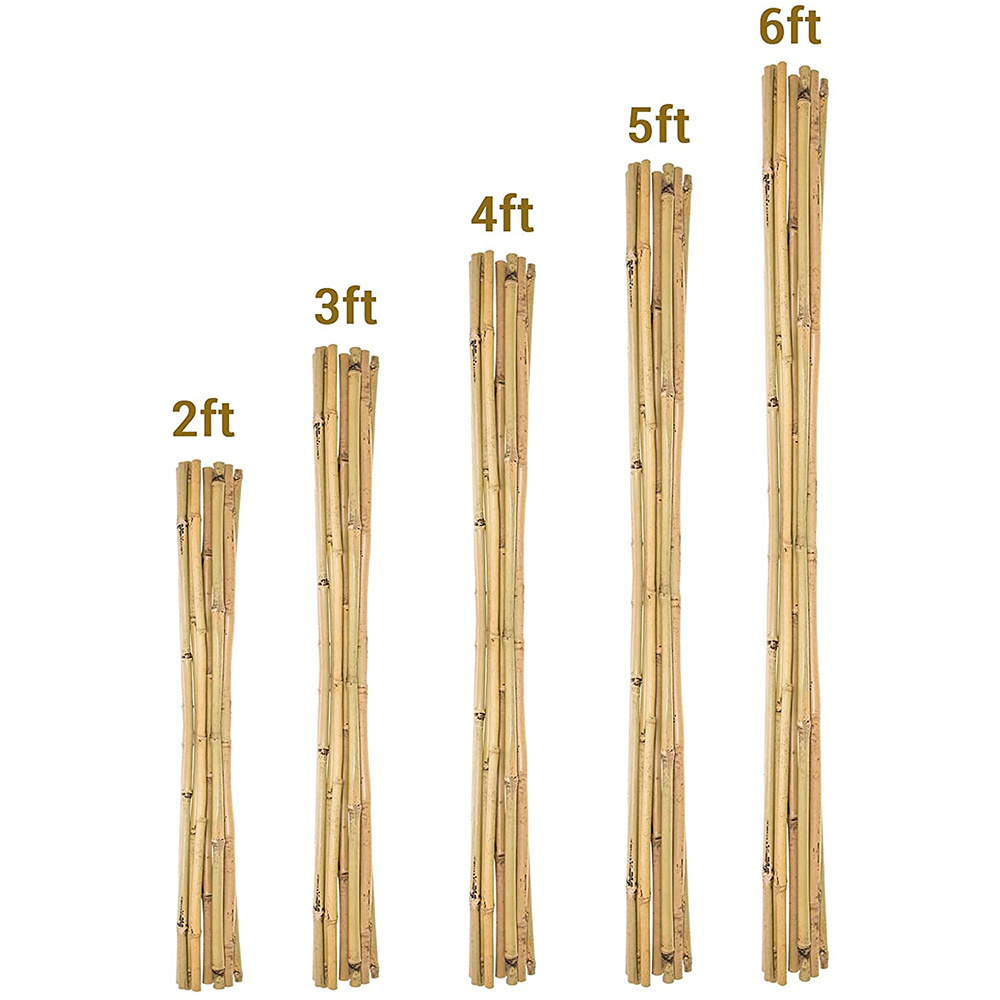 Factory Wholesale Price Tonkin Bamboo Cane Garden Stake Moso Natural Artificial Raw Bamboo Poles