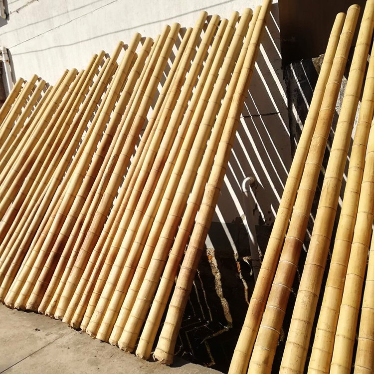 Nature Raw Bamboo Poles Straight Bamboo Tree Stakes Large Bamboo Poles for Decoration Length 300cm