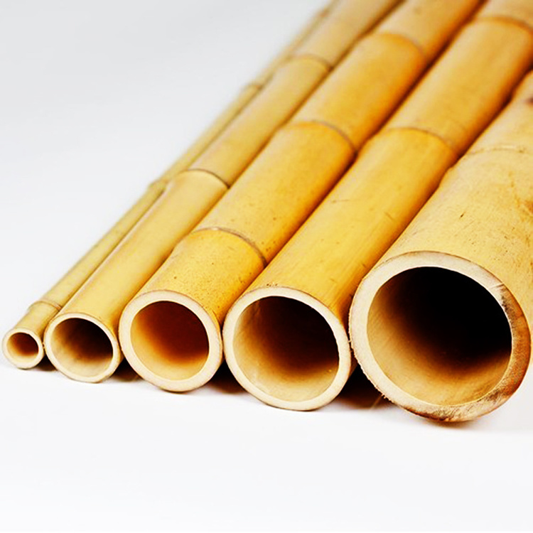 Bamboo Supplier Wholesale Outdoor Yellow Nature Raw And Dry Bamboo Pole 2M 3M 4M 5M 6M 7M 8M