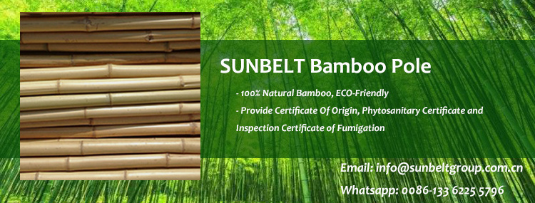 Bamboo Pole with Plastic Coated Natural Bamboo Stake Climbing for Tomatoes Trees Plant Stakes Supports