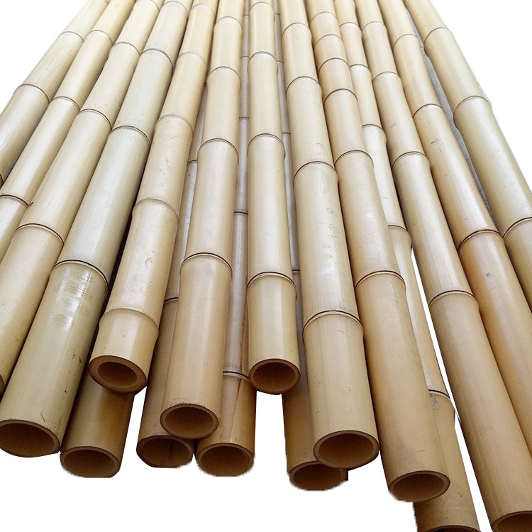 Treated Bamboo Poles for Sale