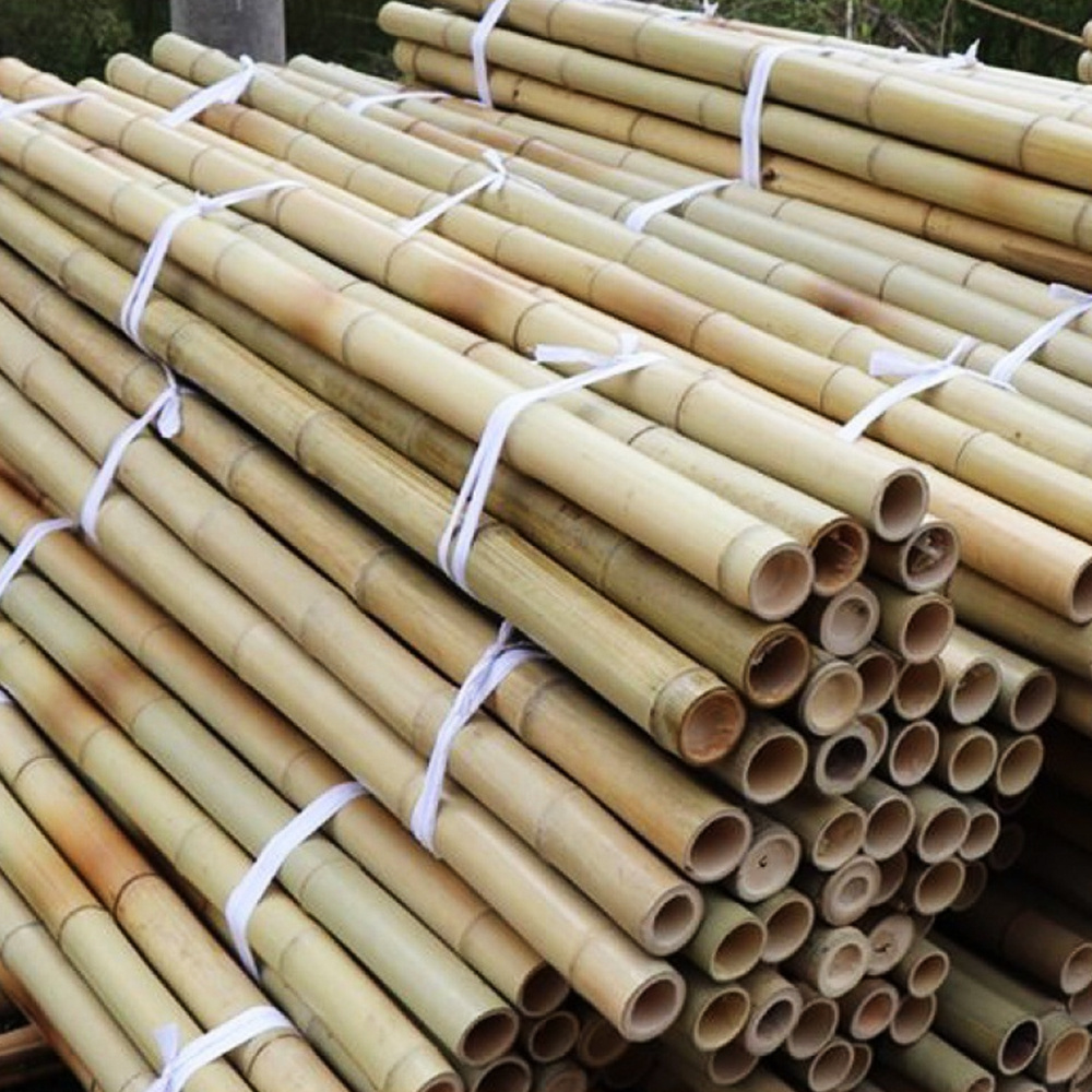 Wholesale Bamboo Pole 1- 8M Customer'S Size Cheap Price On Bulk - Natural Bamboo Poles/Stakes Export Worldwide Low Tax