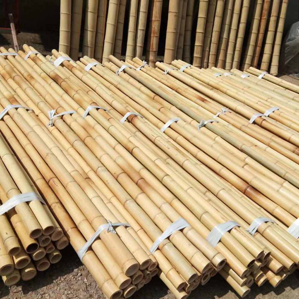 Nature Raw Bamboo Poles Straight Bamboo Tree Stakes Large Bamboo Poles for Decoration Length 300cm