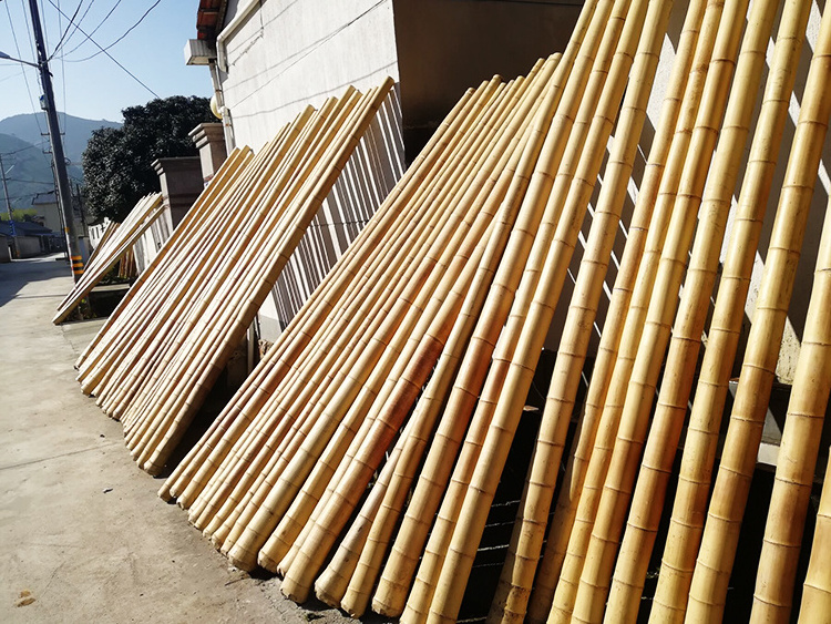 Treated Bamboo Poles for Sale