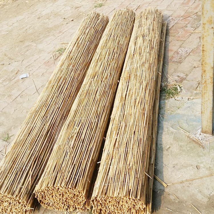 China hot sale reed fence for garden nature bamboo reed fence roll