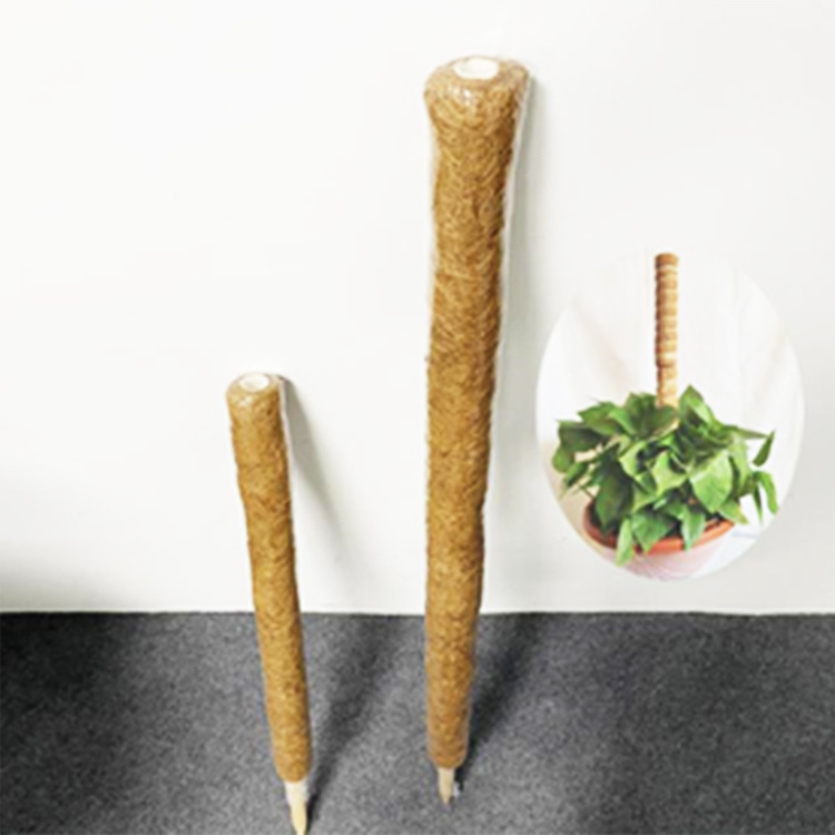 Plant support totem pole coconut sticks coco coir poles support plants to grow upwards use moss poles sticks mats