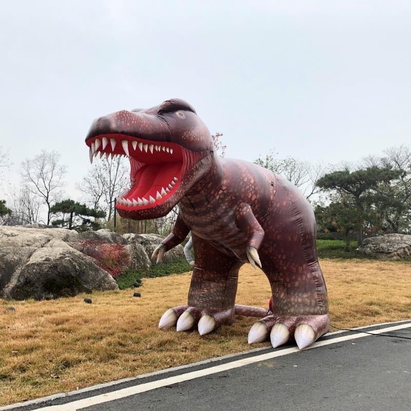 5m inflatable dragon amusement park decoration,big size inflatable dinosaur model newest product