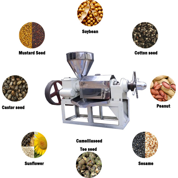 Hot sale all kinds of seeds mini automatic oil extract machine home cold oil press machine with best price