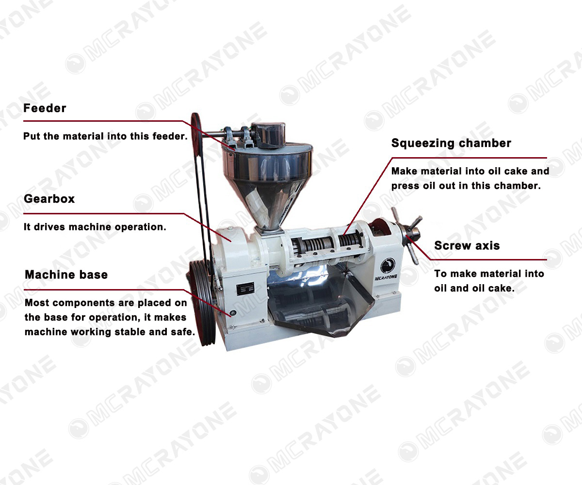 New Seed Oil Cold Press Machine Sunflower/Walnut/Sesame Oil Press for Farms & Manufacturing  Oil Extraction Machine