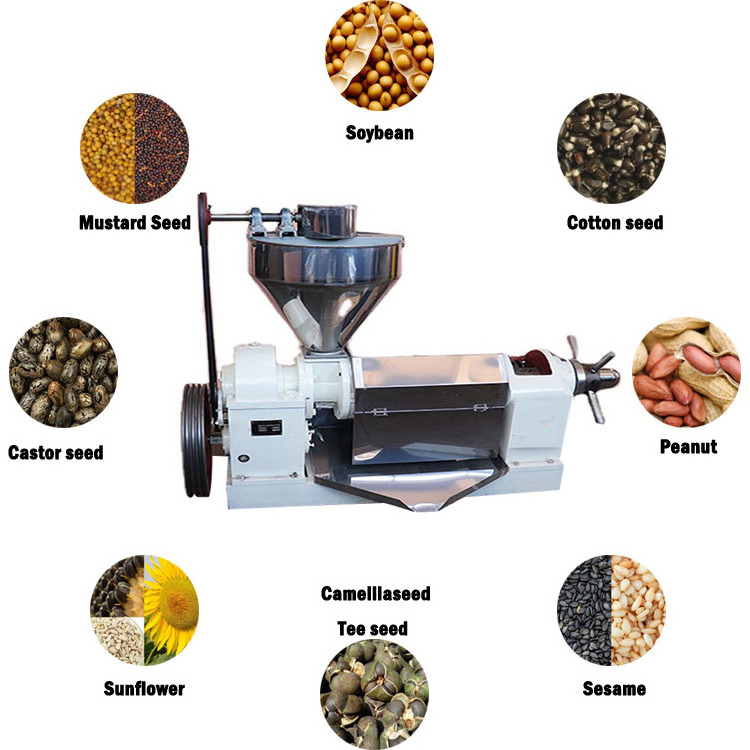 ZX130 cheapest price peanut soybean rapeseeds oil extraction machine/automatic oil press machine