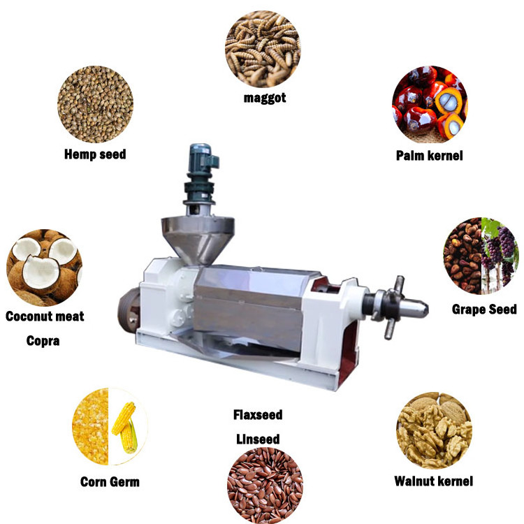 oil making machine sesame peanut oil press cotton seed oil expeller