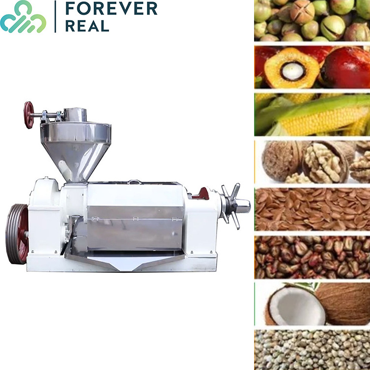 Different production rates Peanut Sesame Rape seed small oil presser press machine,press oil almond oil cold pressed