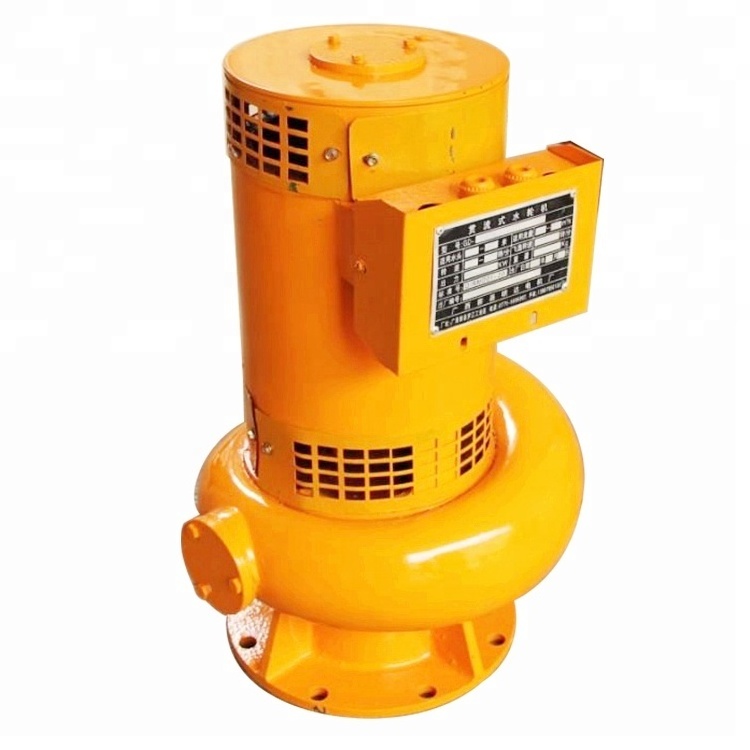 Factory Price 10KW To 100KW Hydro Turbine Electric Generator For Sale