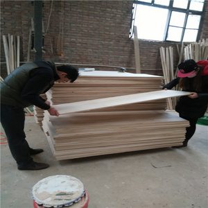 hot sale best quality paulownia wood price