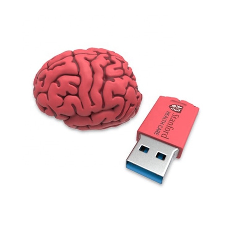 3d Custom Mini Brain Usb Human Organs Shape Flash Drive 64Gb 4Gb 8Gb 16Gb 32Gb Pen Drive Rubber Silicone Pvc Memory Stick