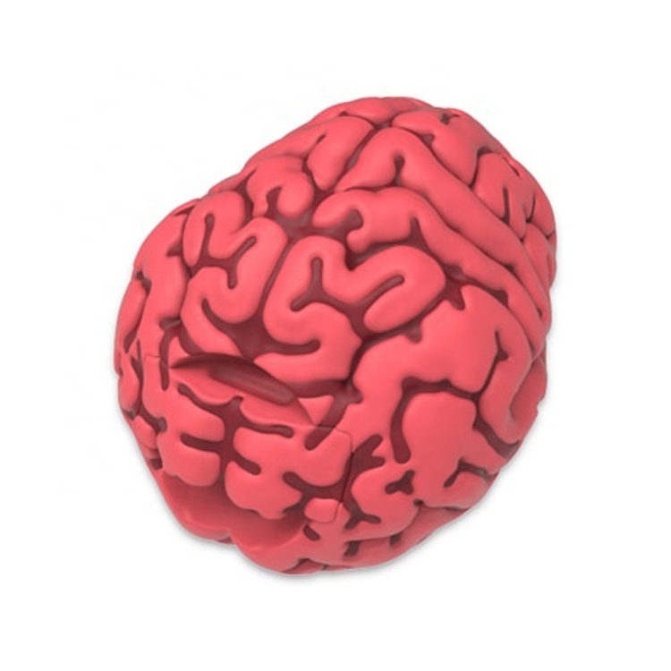 3d Custom Mini Brain Usb Human Organs Shape Flash Drive 64Gb 4Gb 8Gb 16Gb 32Gb Pen Drive Rubber Silicone Pvc Memory Stick