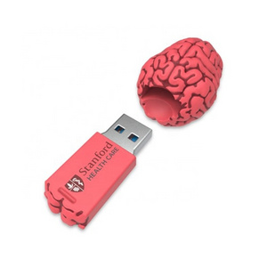 3d Custom Mini Brain Usb Human Organs Shape Flash Drive 64Gb 4Gb 8Gb 16Gb 32Gb Pen Drive Rubber Silicone Pvc Memory Stick