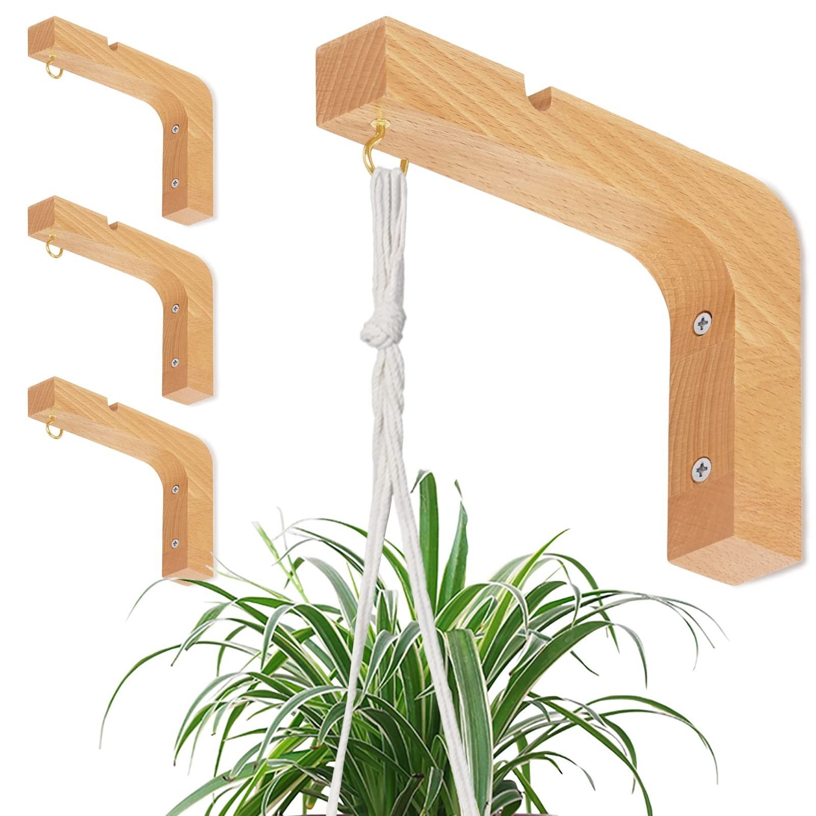 Solid Wood Wall Mounted Plant Hangers Decorative Indoor Hanging Plant Brackets Novelty Hooks for Plant Display