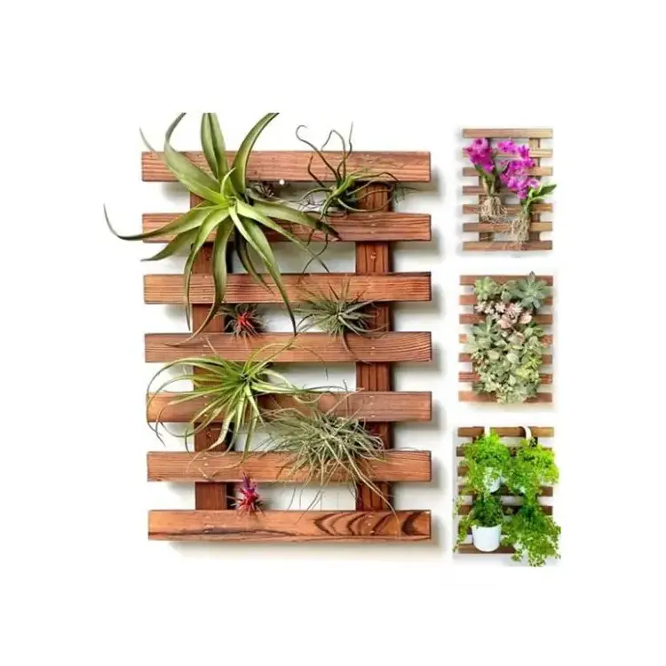 Wall Mount Wooden Orchid Planter Display Frame Succulents Holders Hanging Wall Wood Planters for Outdoor Plants