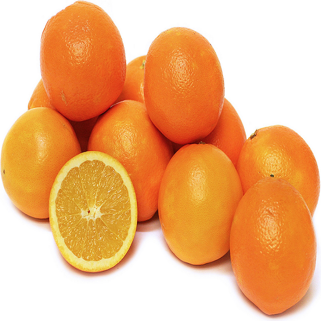 low cost fresh style Valencia orange  at high quality from Egypt