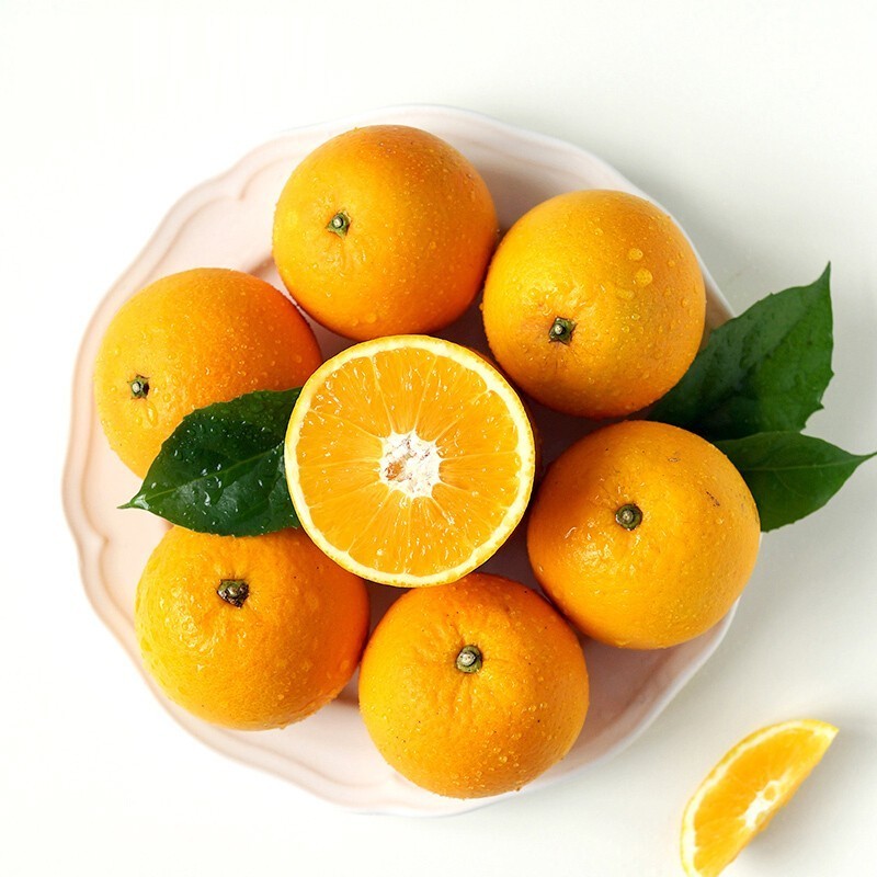 low cost fresh style Valencia orange  at high quality from Egypt